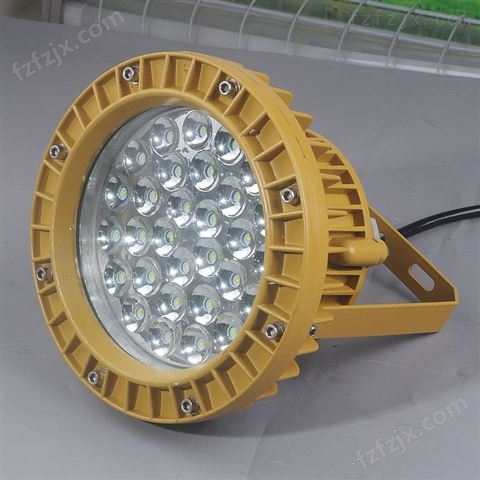 30W免维护LED防爆节能灯